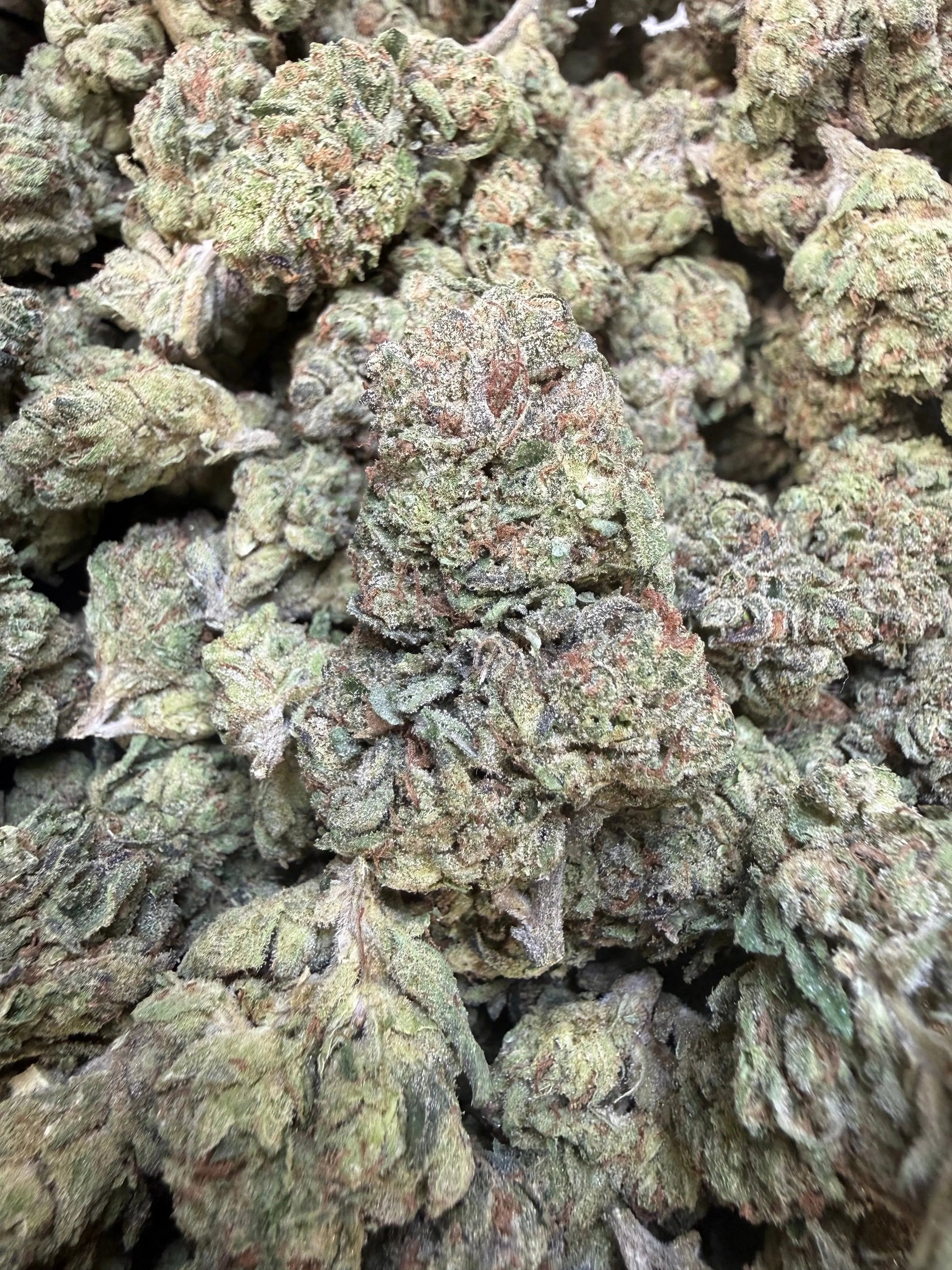 1 Pound - Modmintz THCA Strain Frisco Labs