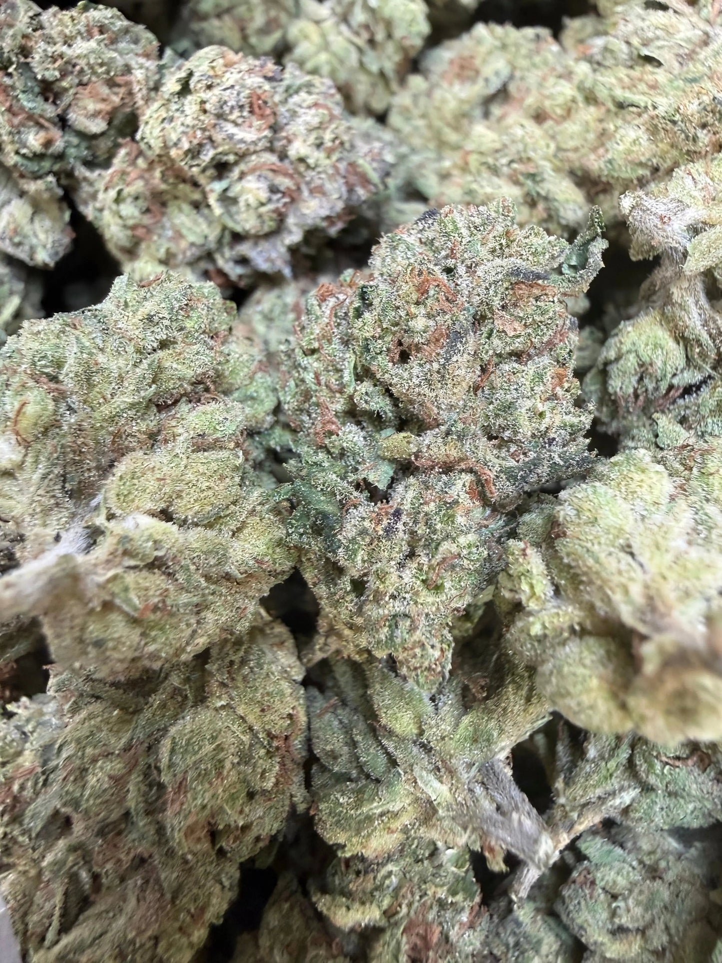 1 Pound - Modmintz THCA Strain Frisco Labs