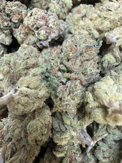 1 Pound - Modmintz THCA Strain Frisco Labs