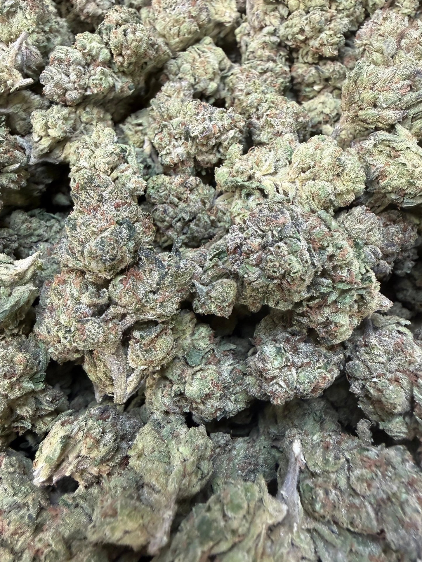 1 Pound - Modmintz THCA Strain Frisco Labs