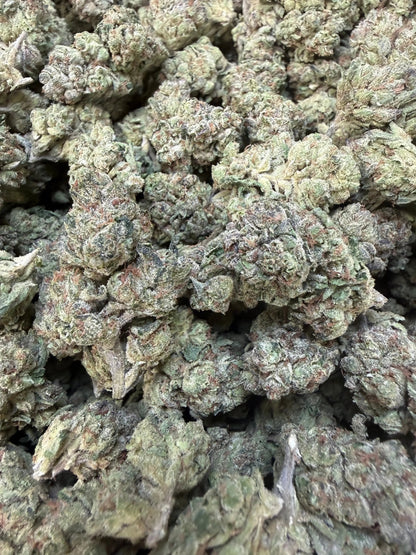 1 Pound - Modmintz THCA Strain Frisco Labs