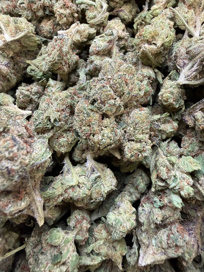 1 Pound - Obama Runtz THCA Strain (Small) Frisco Labs