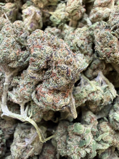 1 Pound - Obama Runtz THCA Strain (Small) Frisco Labs