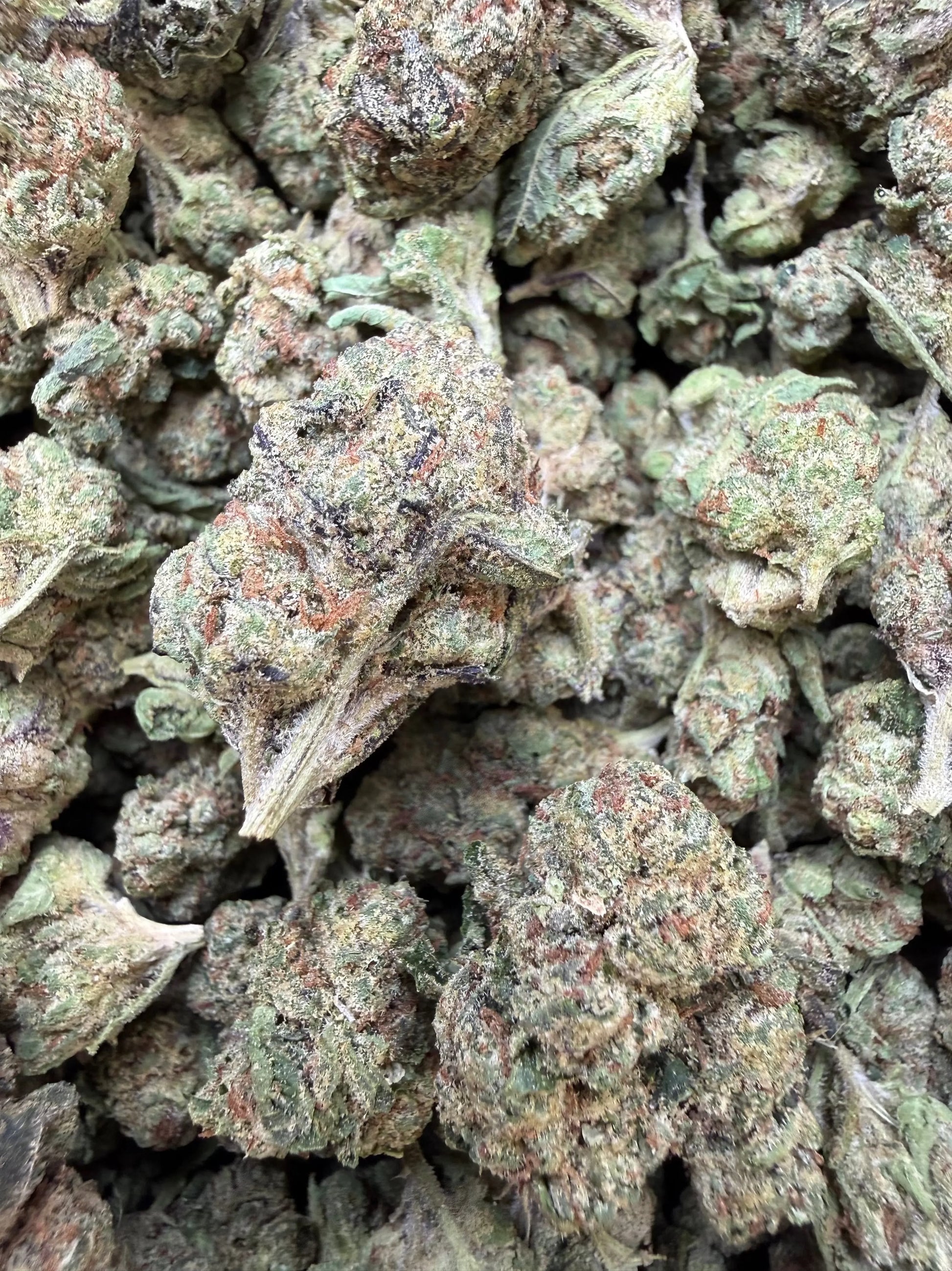 1 Pound - Obama Runtz THCA Strain (Small) Frisco Labs