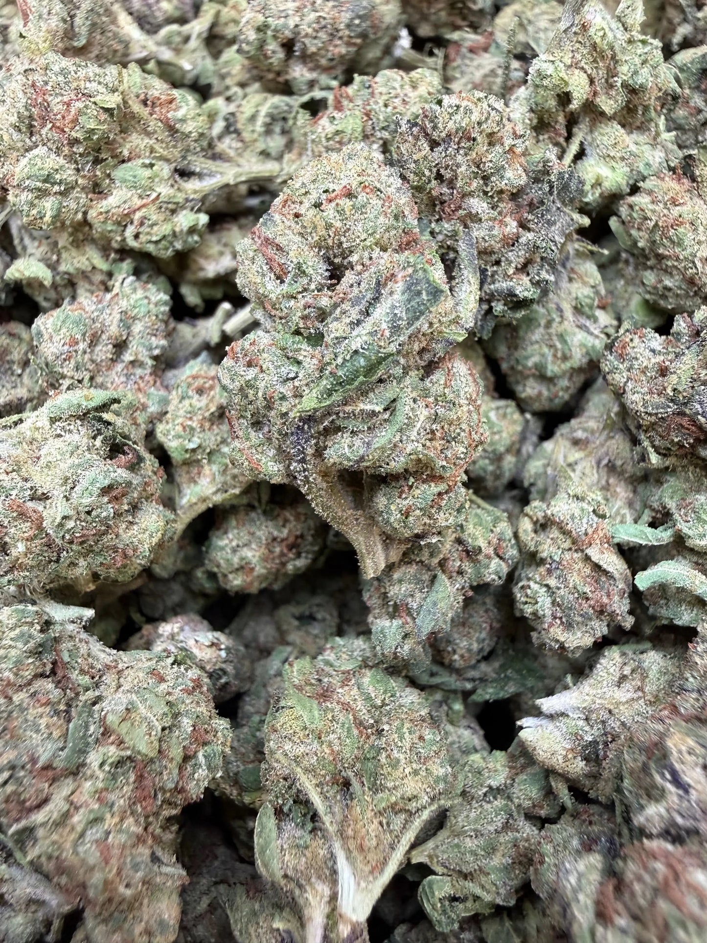 1 Pound - Obama Runtz THCA Strain (Small) Frisco Labs