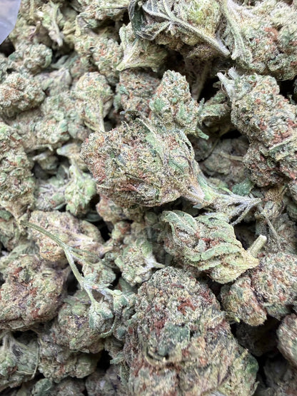 1 Pound - Obama Runtz THCA Strain (Small) Frisco Labs