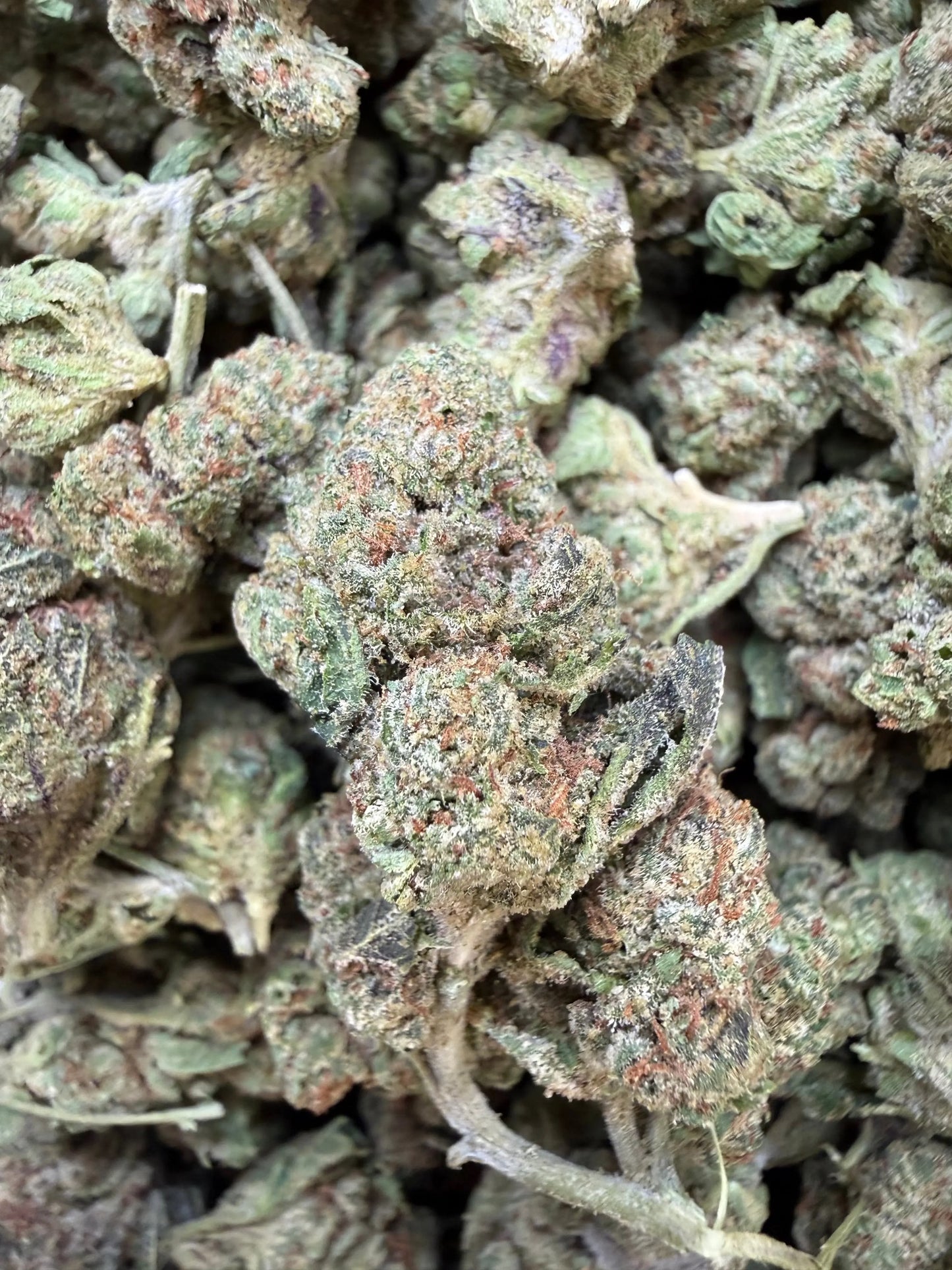 1 Pound - Obama Runtz THCA Strain (Small) Frisco Labs