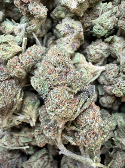 1 Pound - Obama Runtz THCA Strain (Small) Frisco Labs