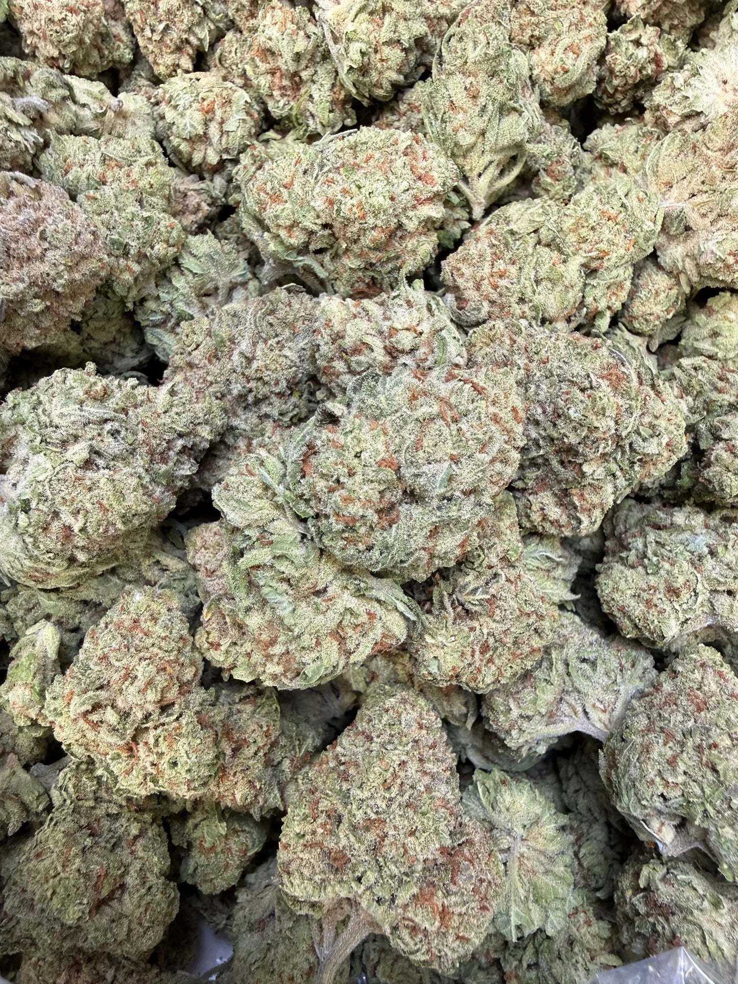 1 Pound - Papaya Fizz THCA Strain Frisco Labs