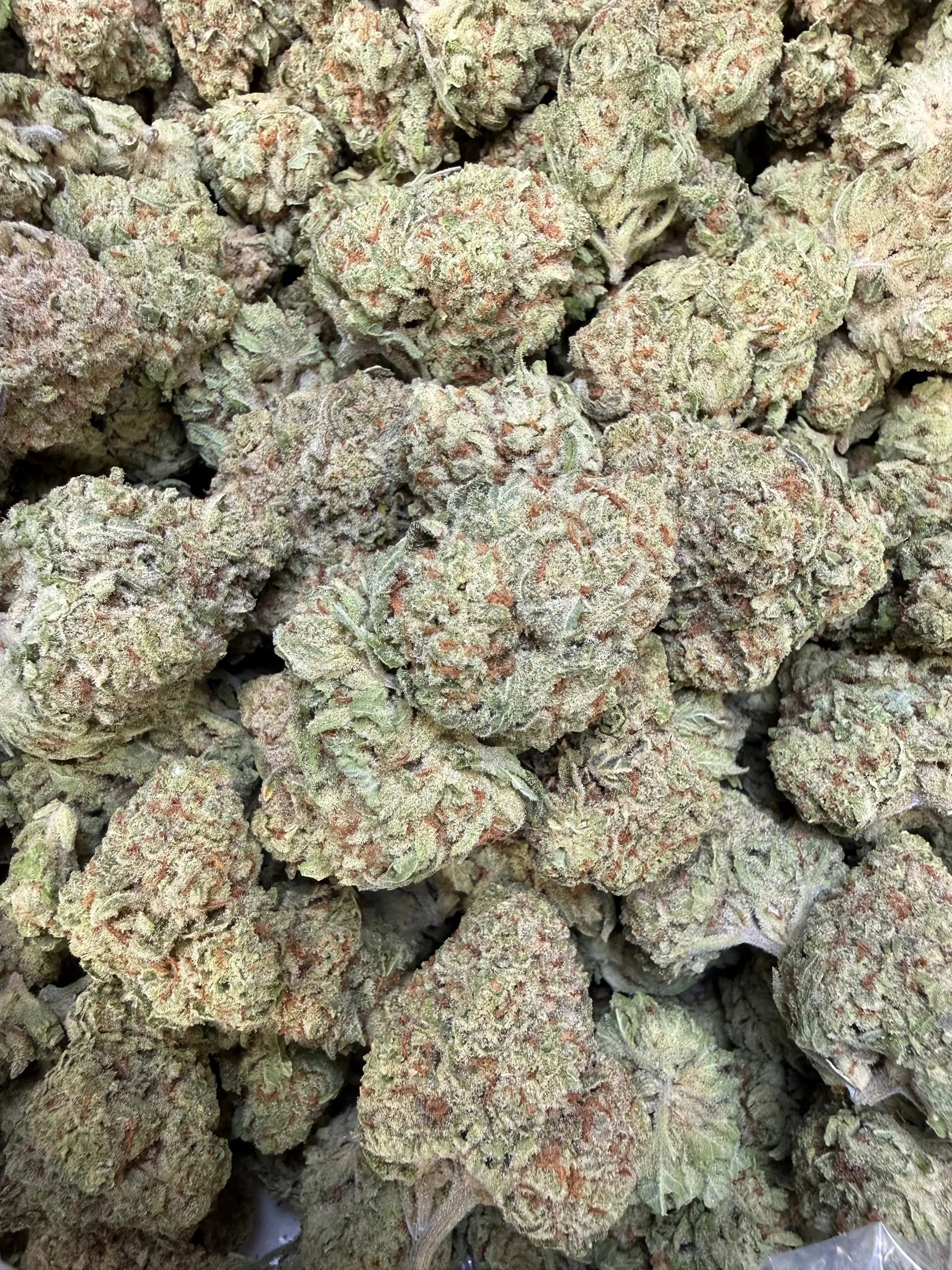 1 Pound - Papaya Fizz THCA Strain Frisco Labs