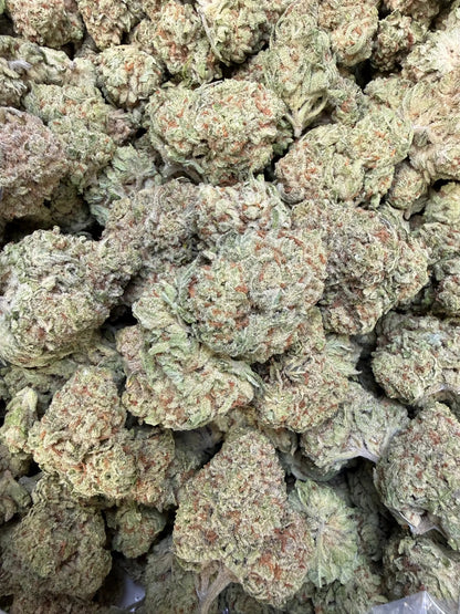 1 Pound - Papaya Fizz THCA Strain Frisco Labs