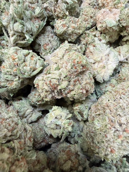 1 Pound - Papaya Fizz THCA Strain Frisco Labs