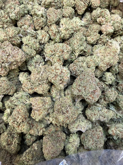 1 Pound - Papaya Fizz THCA Strain Frisco Labs