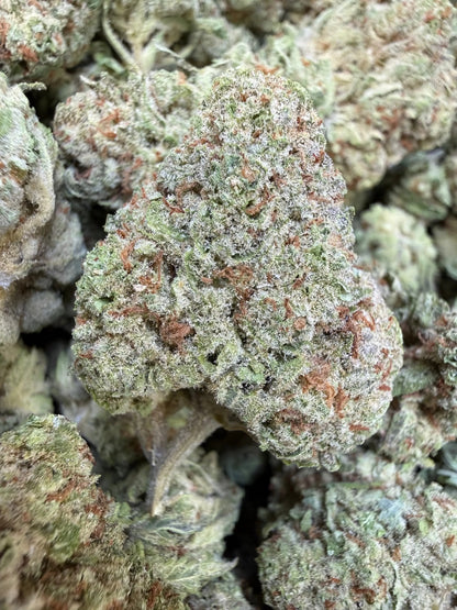 1 Pound - Papaya Fizz THCA Strain Frisco Labs