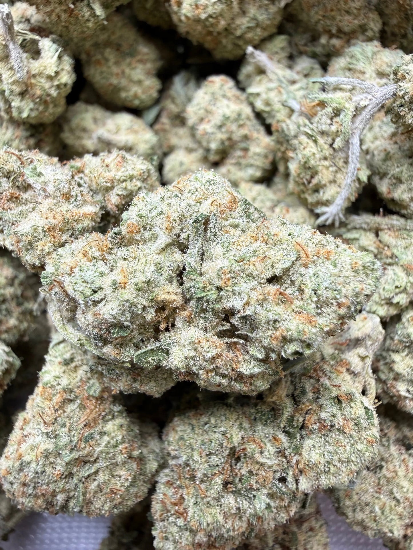 1 Pound - Papaya Fizz #2 THCA Strain Frisco Labs