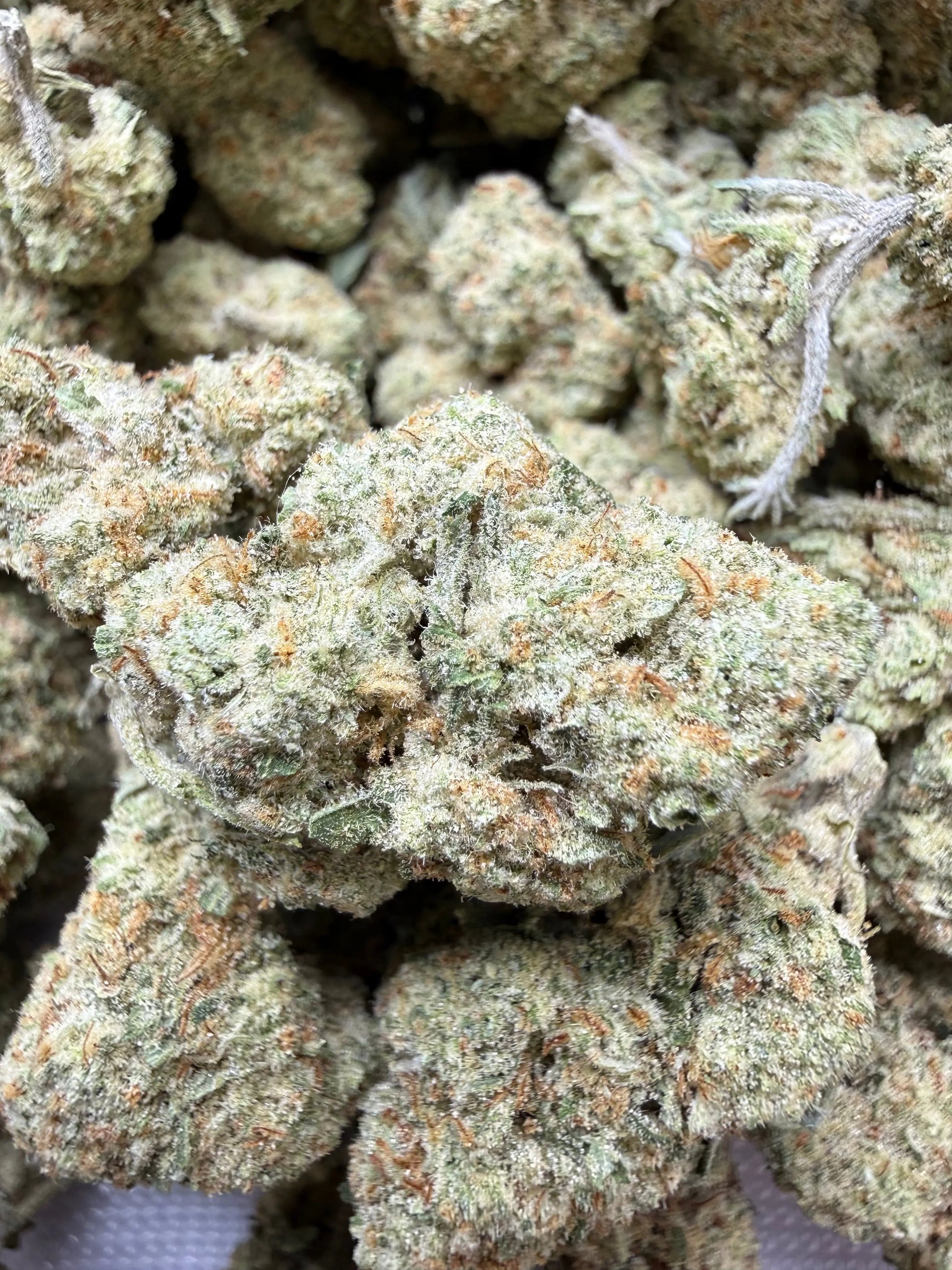 1 Pound - Papaya Fizz #2 THCA Strain Frisco Labs