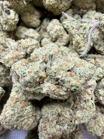 1 Pound - Papaya Fizz #2 THCA Strain Frisco Labs