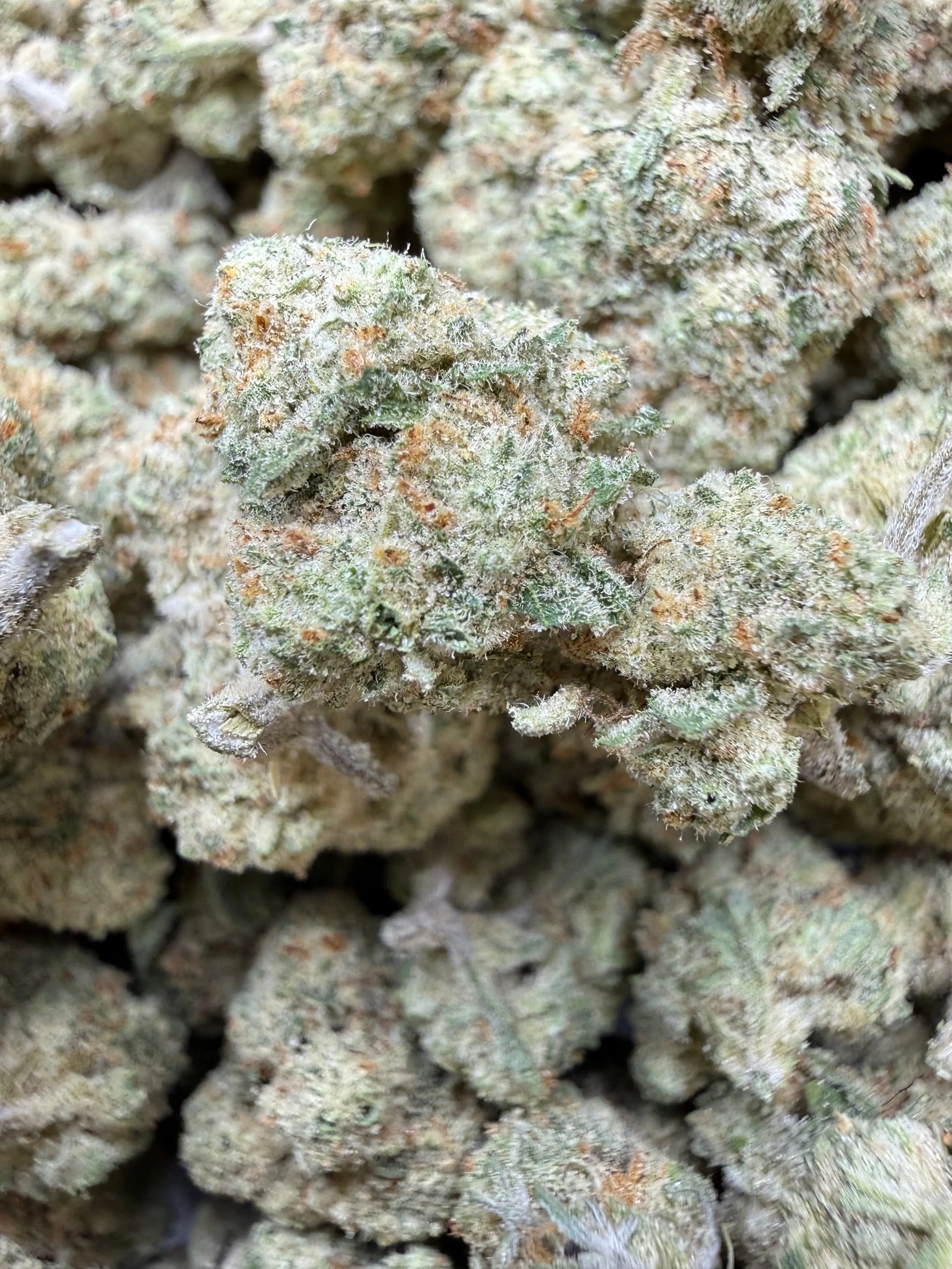 1 Pound - Papaya Fizz #2 THCA Strain Frisco Labs