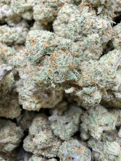 1 Pound - Papaya Fizz #2 THCA Strain Frisco Labs