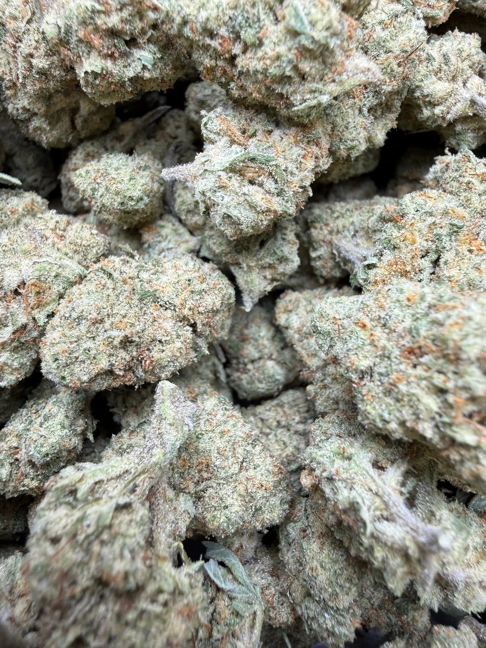 1 Pound - Papaya Fizz #2 THCA Strain Frisco Labs