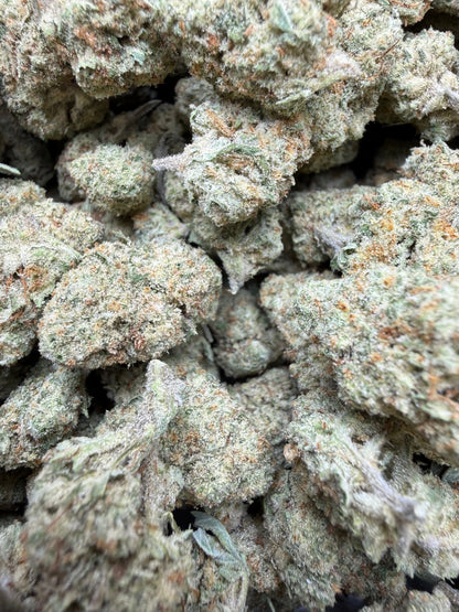 1 Pound - Papaya Fizz #2 THCA Strain Frisco Labs