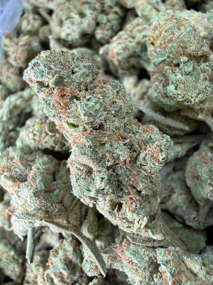 1 Pound - Peach Mimosa THCA Strain (Small) Frisco Labs