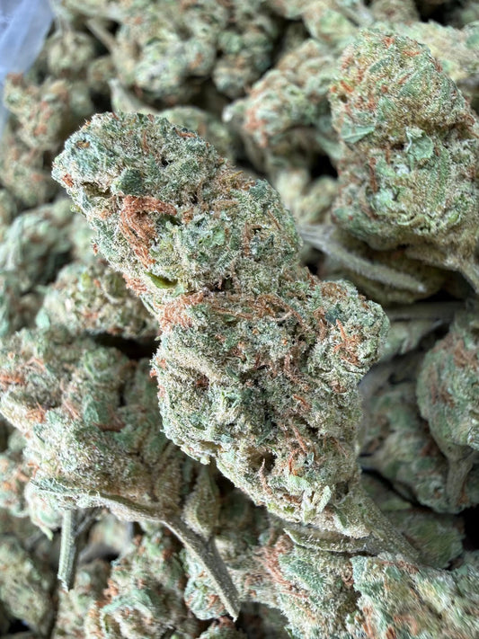 1 Pound - Peach Mimosa THCA Strain (Small) Frisco Labs