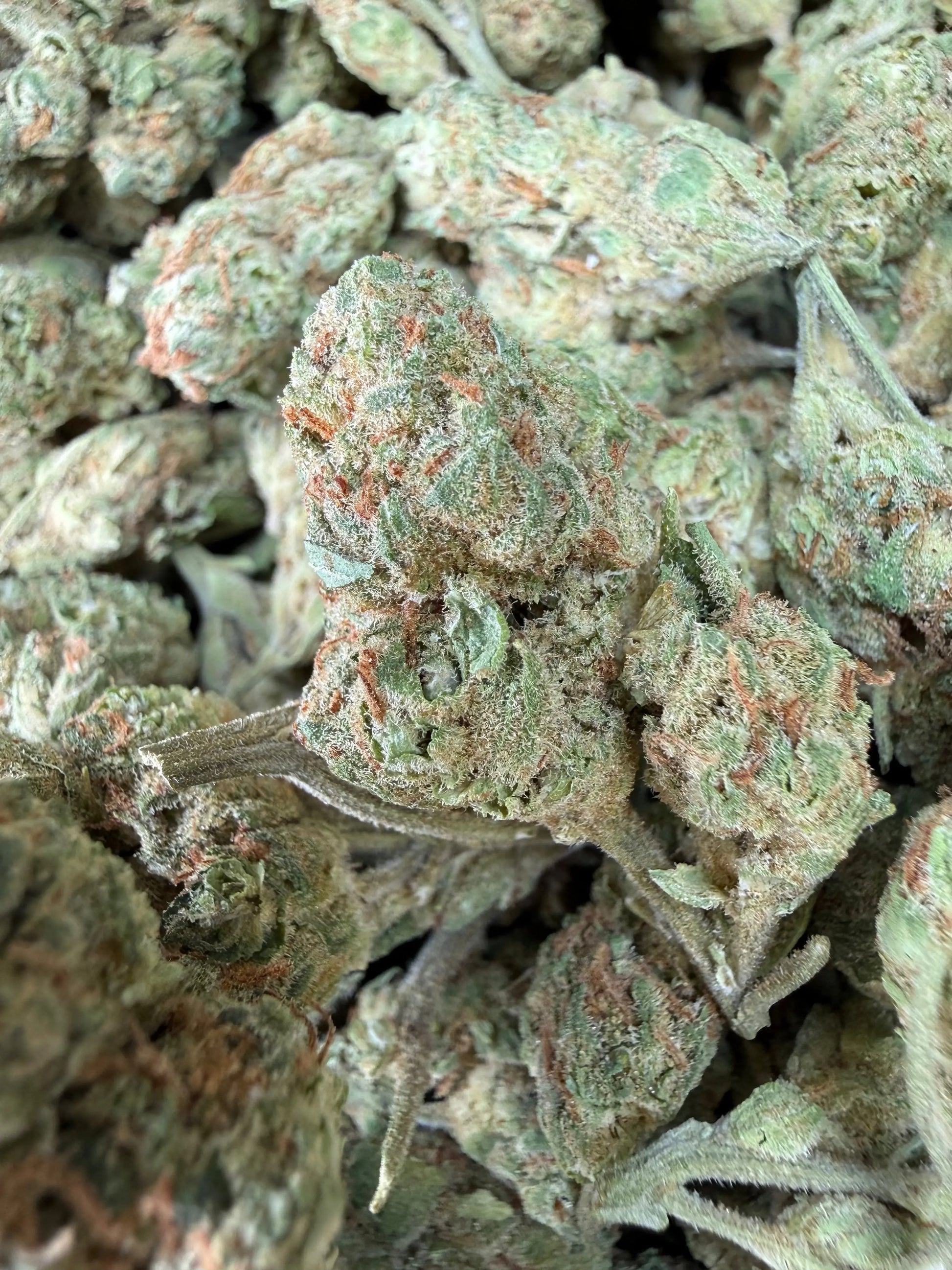 1 Pound - Peach Mimosa THCA Strain (Small) Frisco Labs