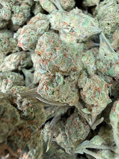 1 Pound - Peach Mimosa THCA Strain (Small) Frisco Labs