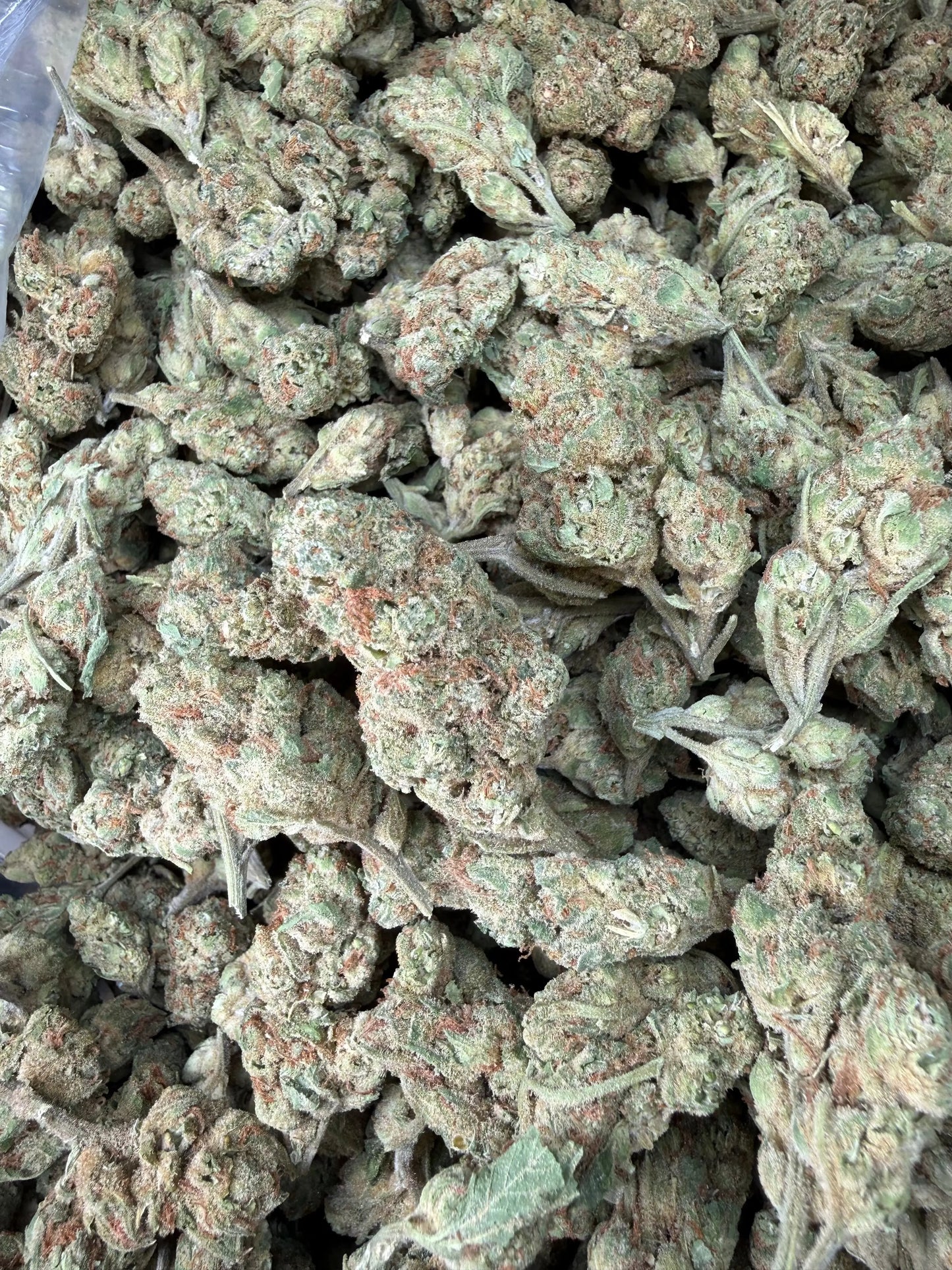 1 Pound - Peach Mimosa THCA Strain (Small) Frisco Labs