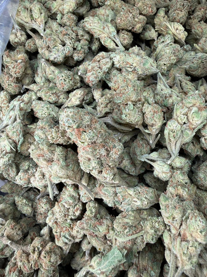 1 Pound - Peach Mimosa THCA Strain (Small) Frisco Labs