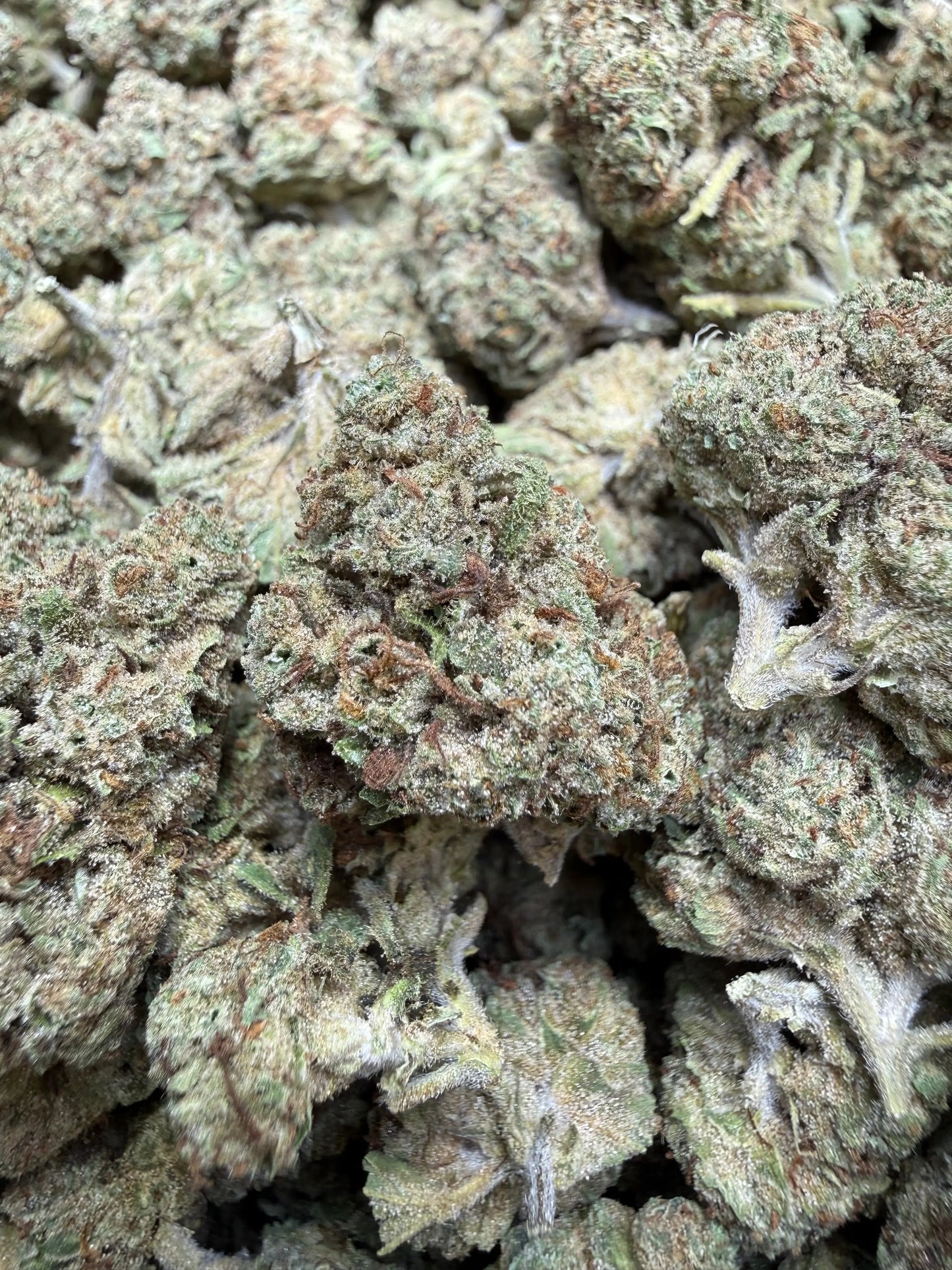 1 Pound - Permanent Chimera THCA Strain Frisco Labs