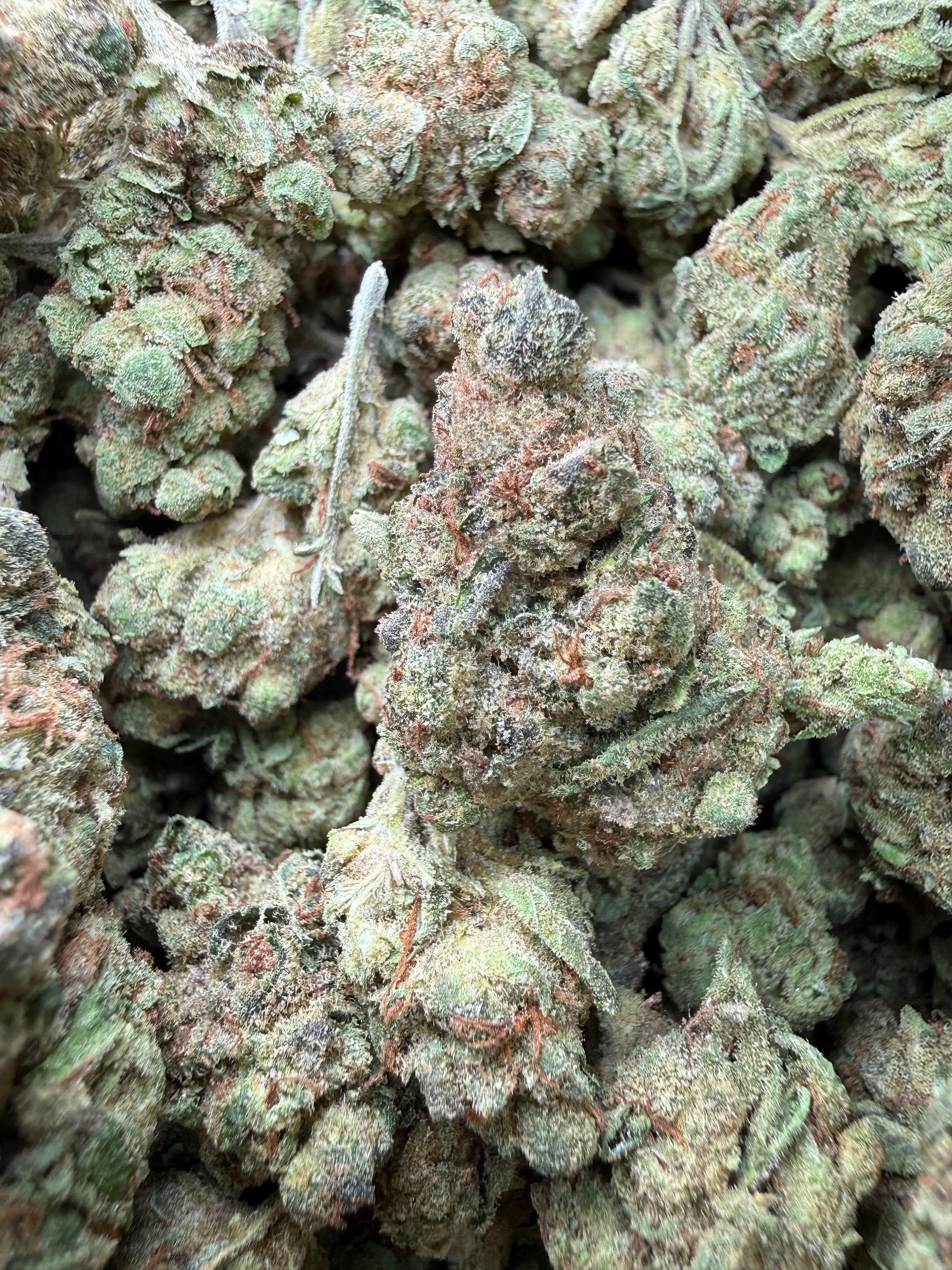 1 Pound - Pink Death Star THCA Strain Frisco Labs