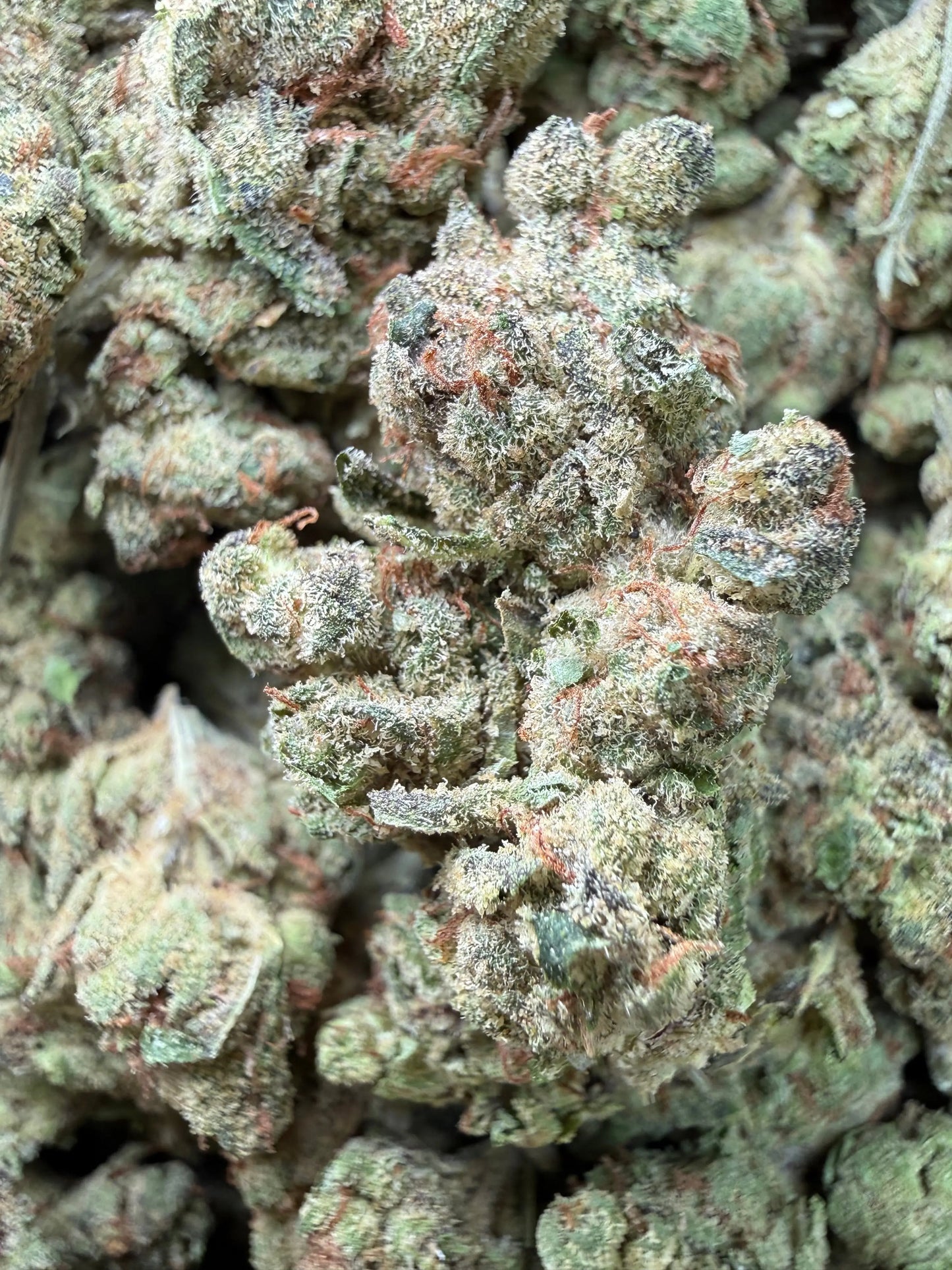 1 Pound - Pink Death Star THCA Strain Frisco Labs