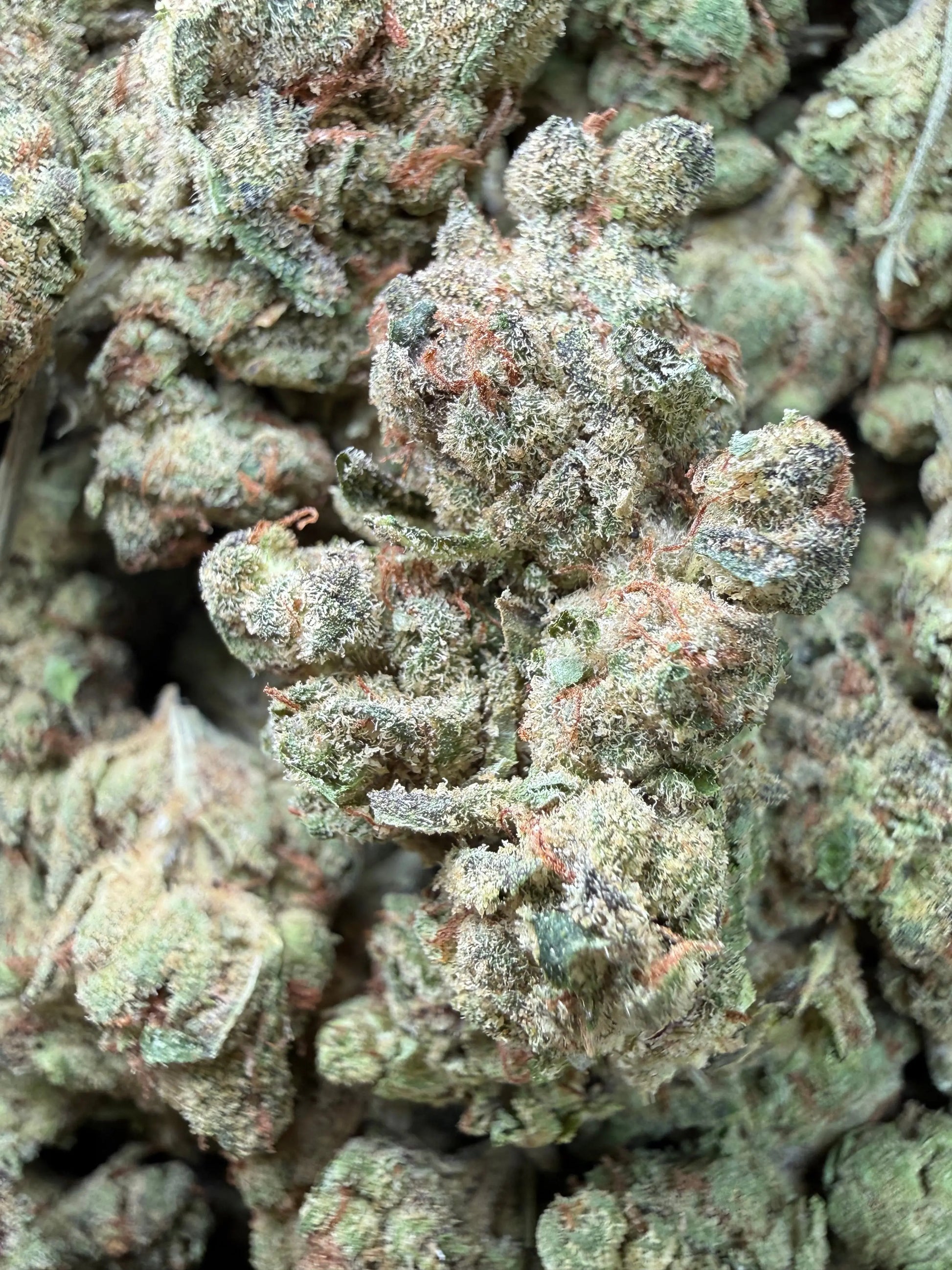 1 Pound - Pink Death Star THCA Strain Frisco Labs