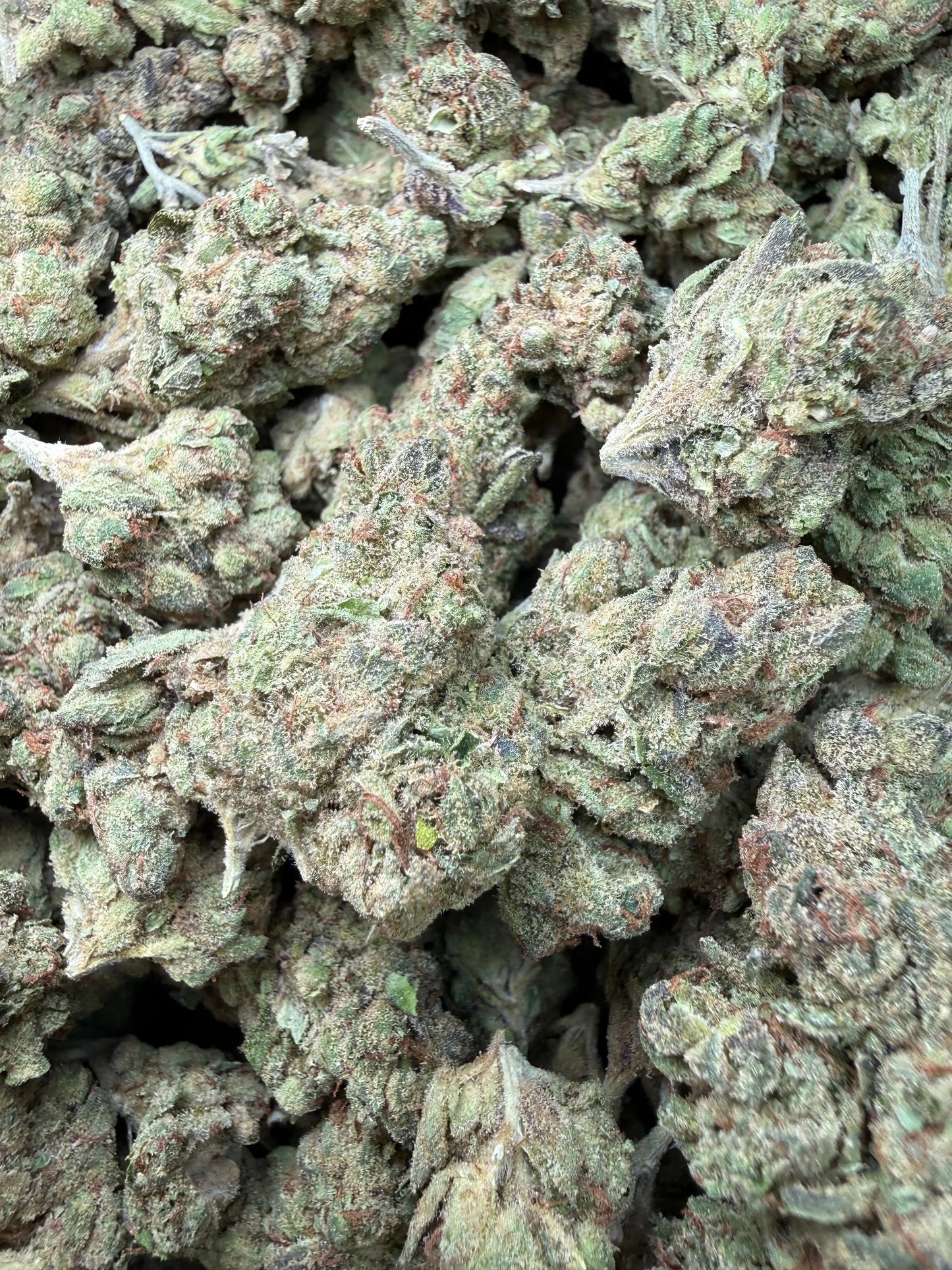 1 Pound - Pink Death Star THCA Strain Frisco Labs