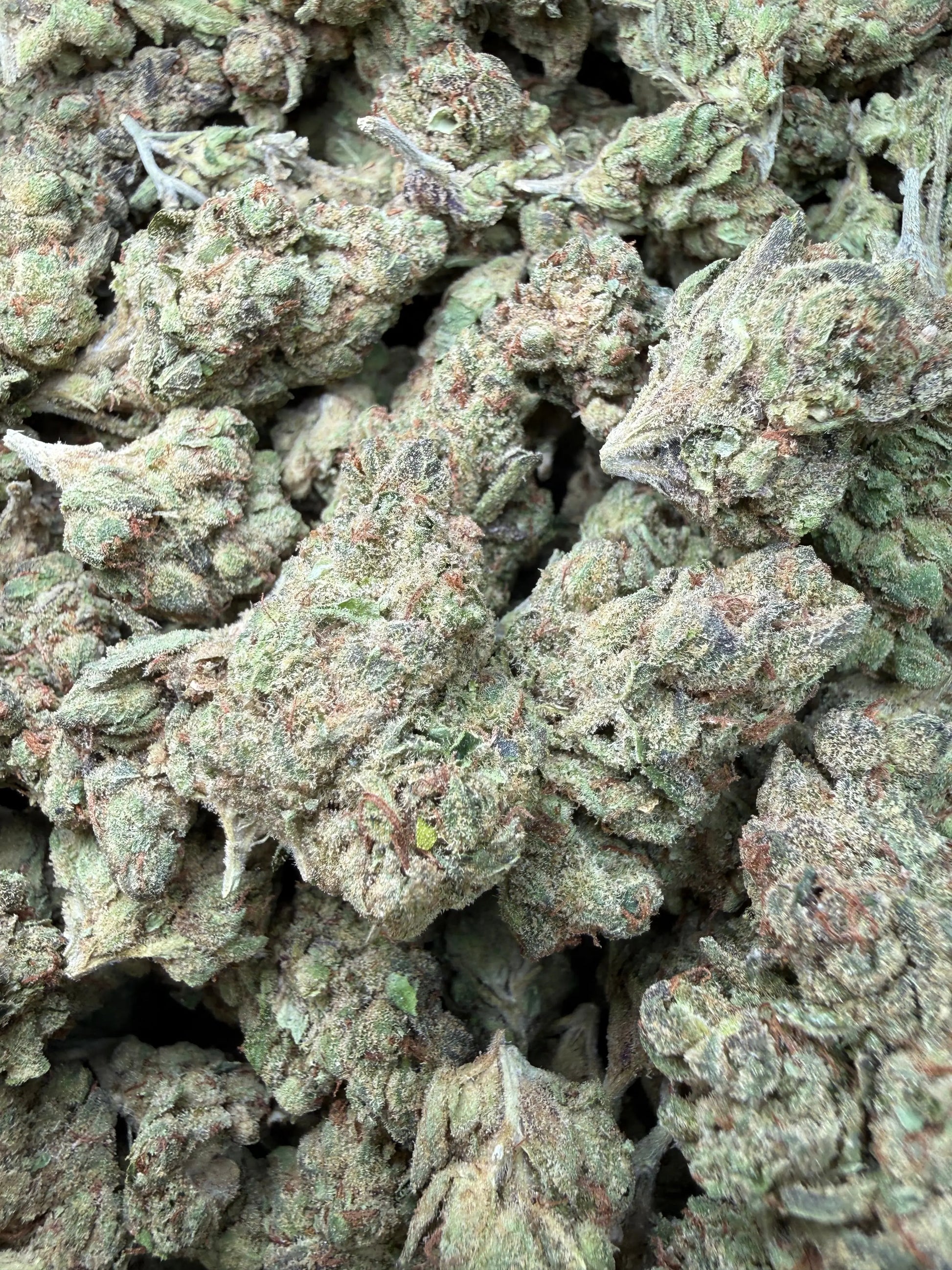 1 Pound - Pink Death Star THCA Strain Frisco Labs