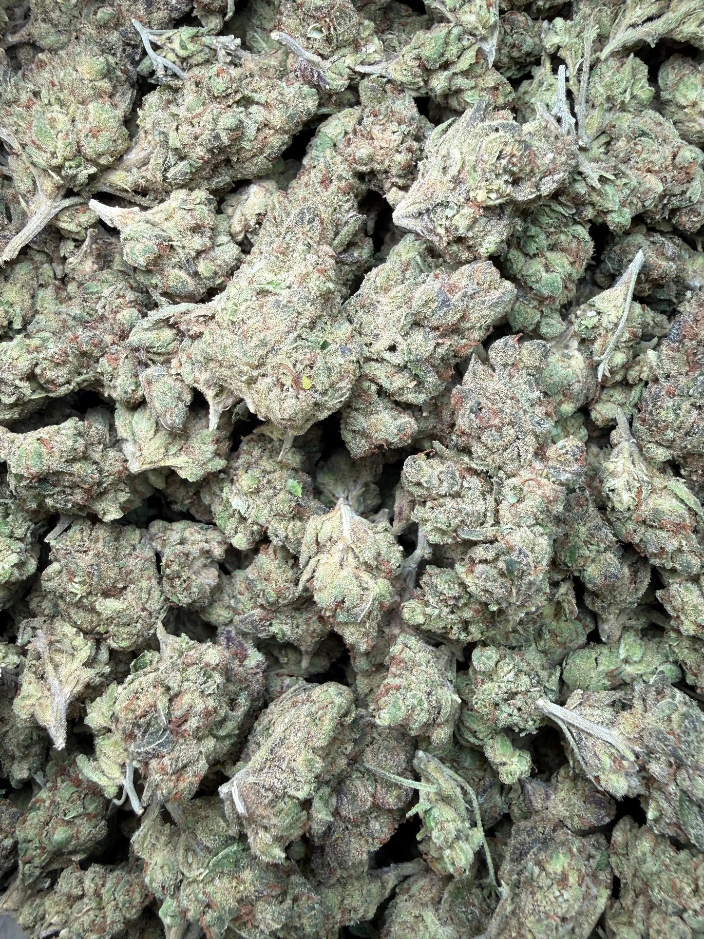 1 Pound - Pink Death Star THCA Strain Frisco Labs