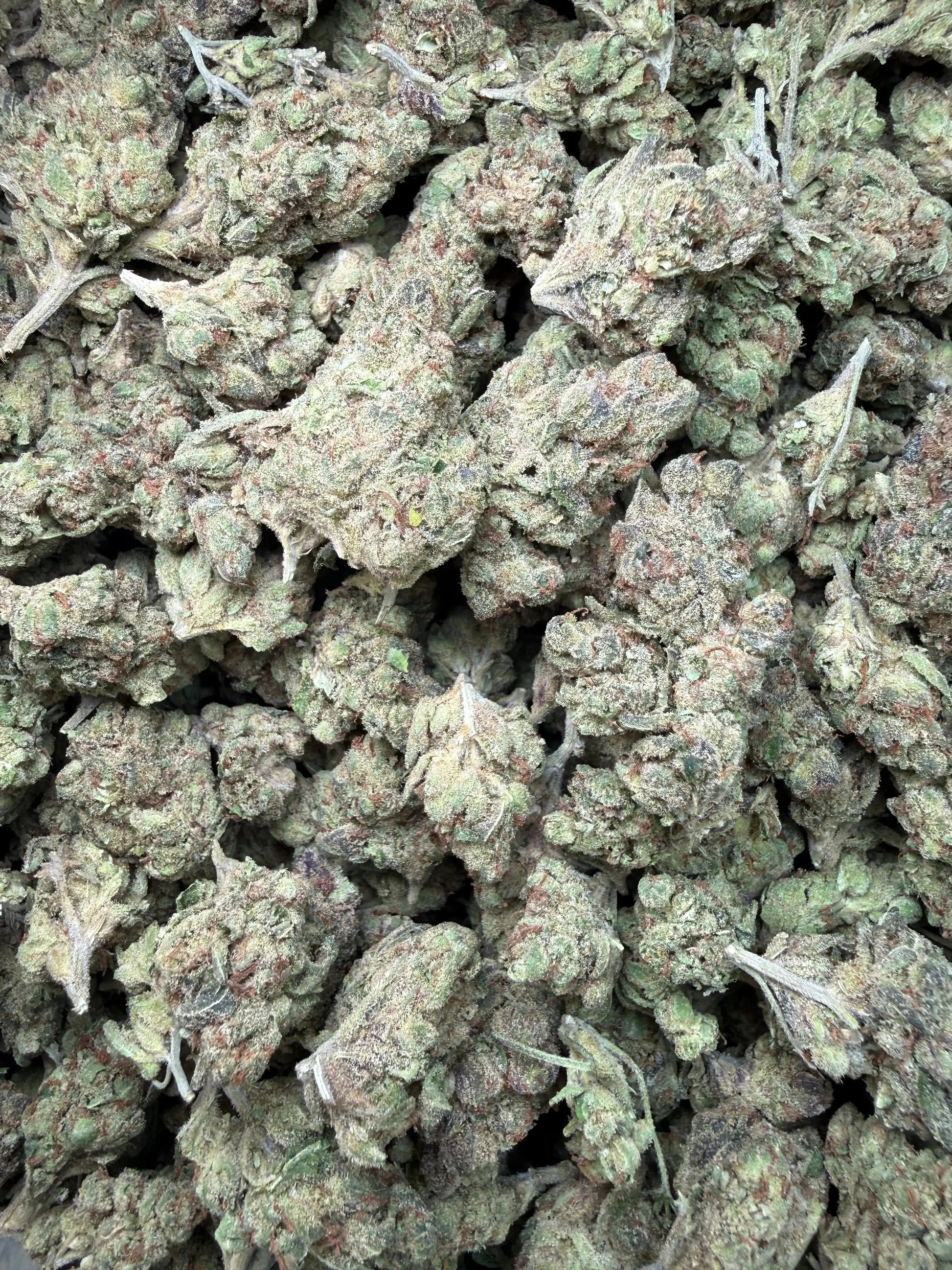 1 Pound - Pink Death Star THCA Strain Frisco Labs