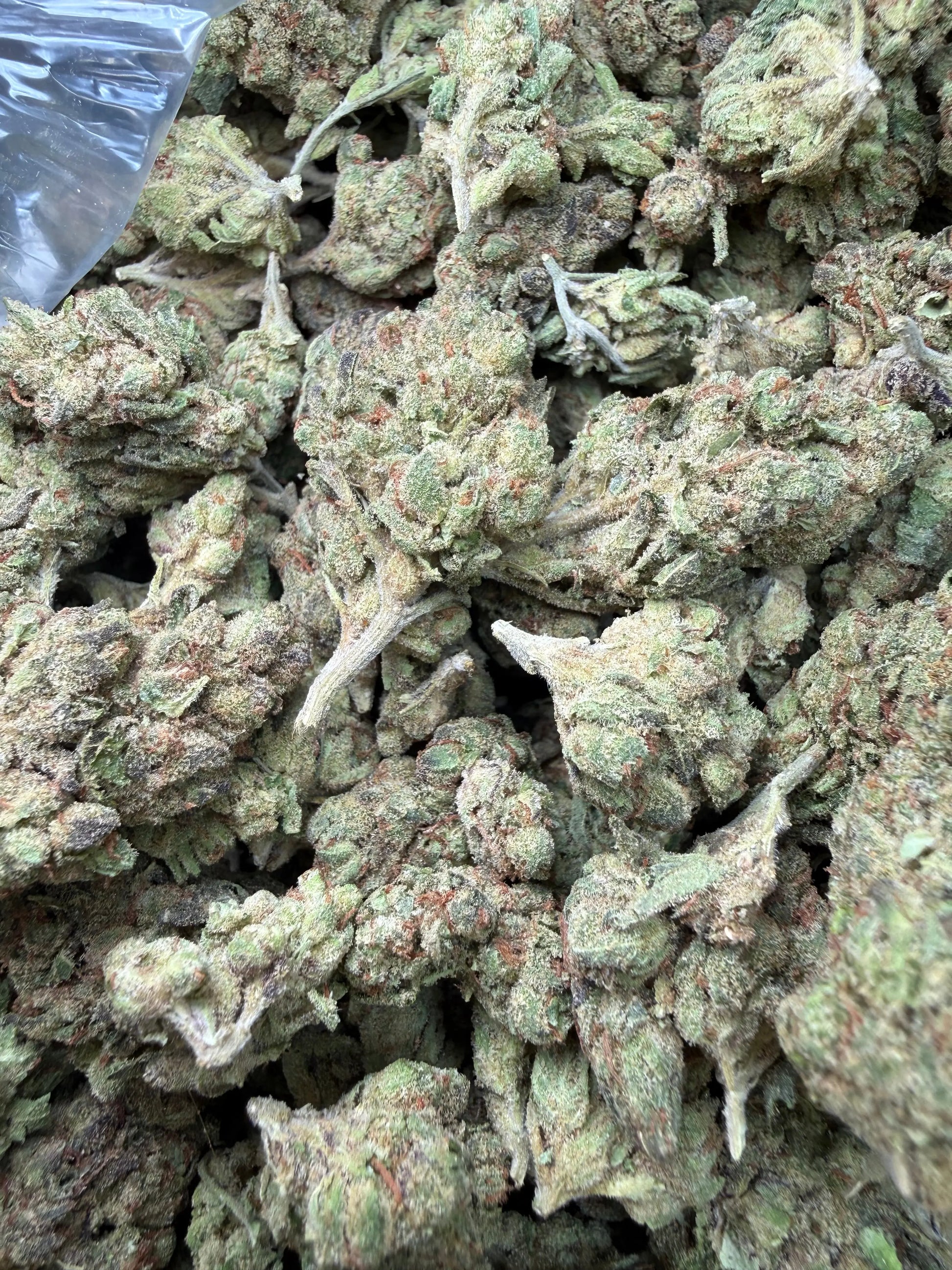 1 Pound - Pink Death Star THCA Strain Frisco Labs