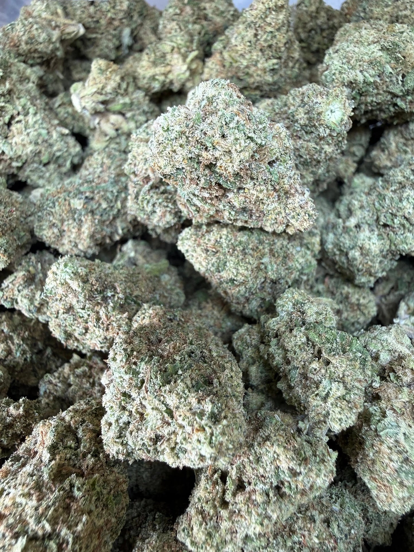 1 Pound - Pink Rozay THCA Strain Frisco Labs