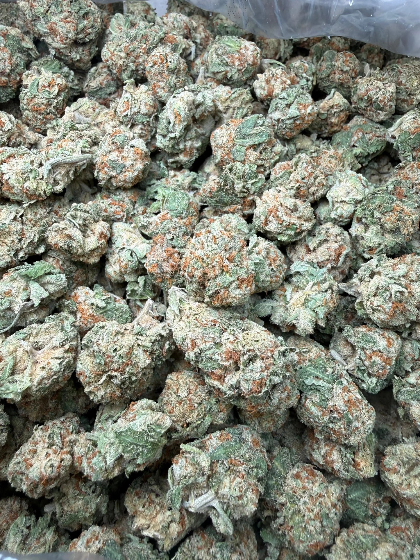 1 Pound - Pinnacle THCA Strain Frisco Labs