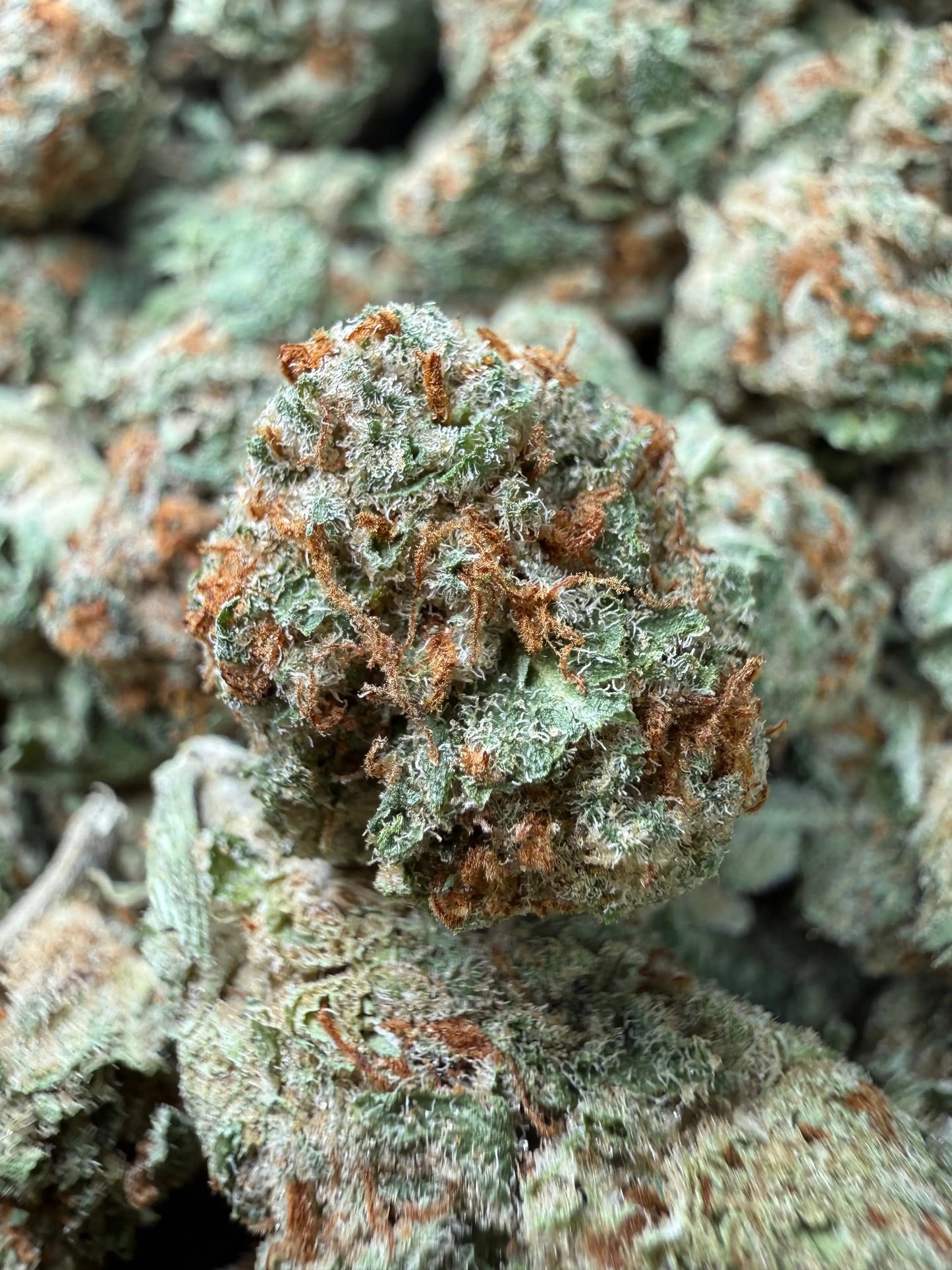 1 Pound - Pinnacle THCA Strain Frisco Labs