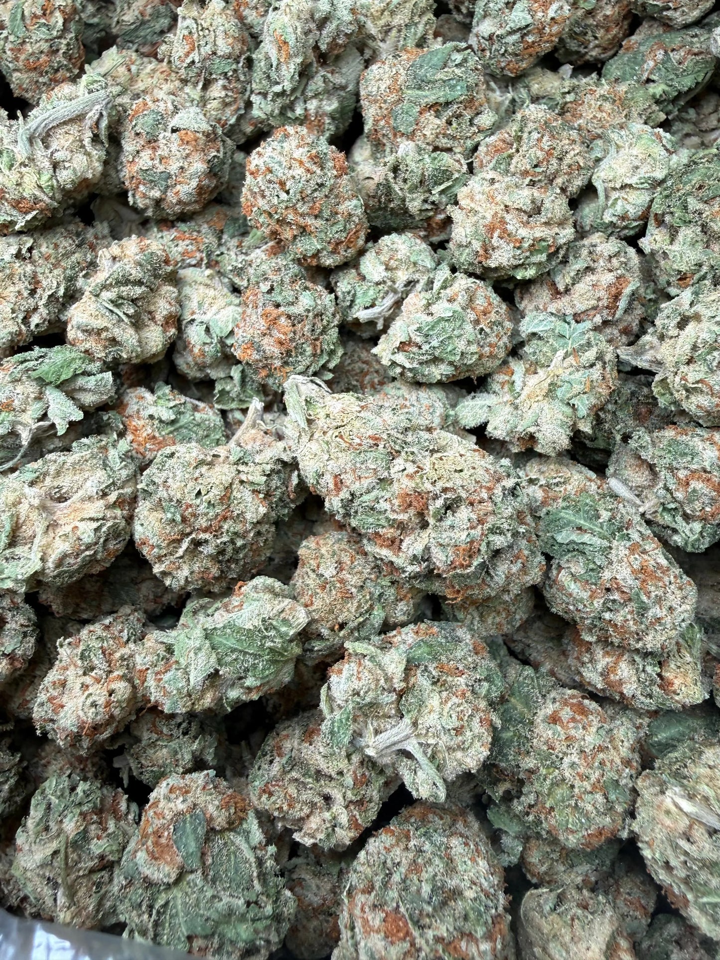 1 Pound - Pinnacle THCA Strain Frisco Labs