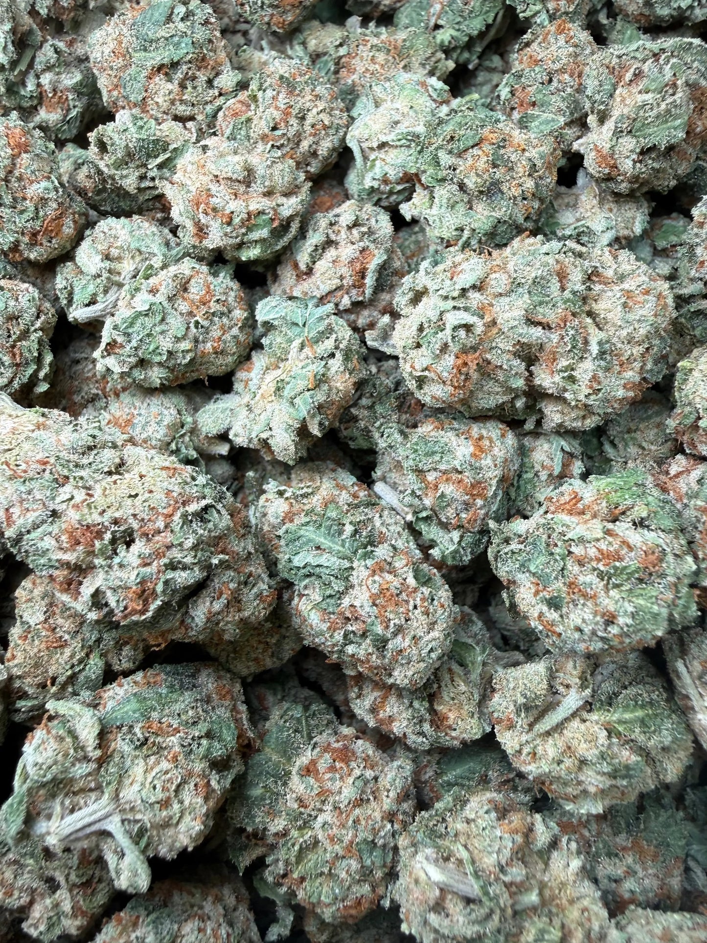 1 Pound - Pinnacle THCA Strain Frisco Labs