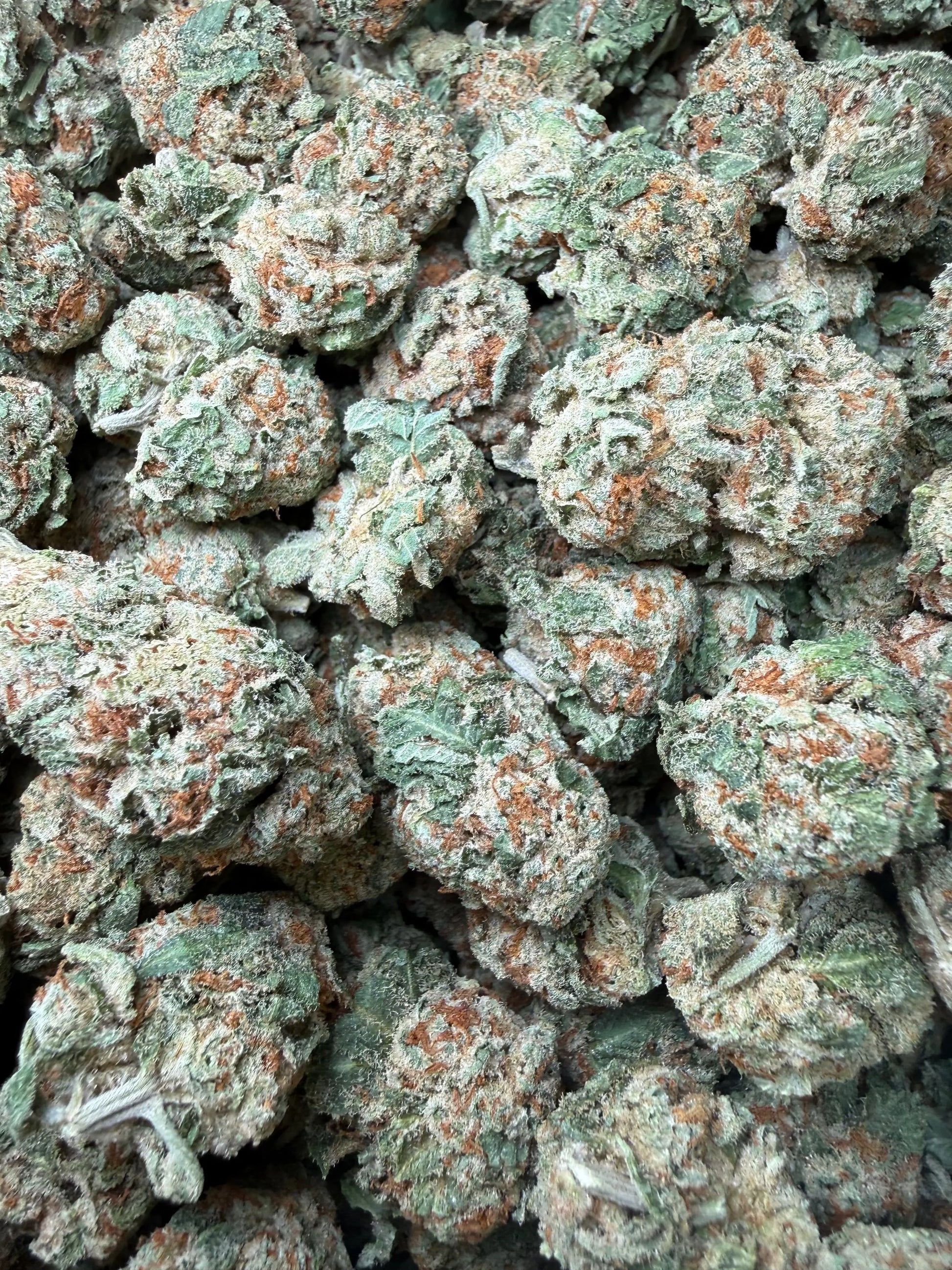 1 Pound - Pinnacle THCA Strain Frisco Labs