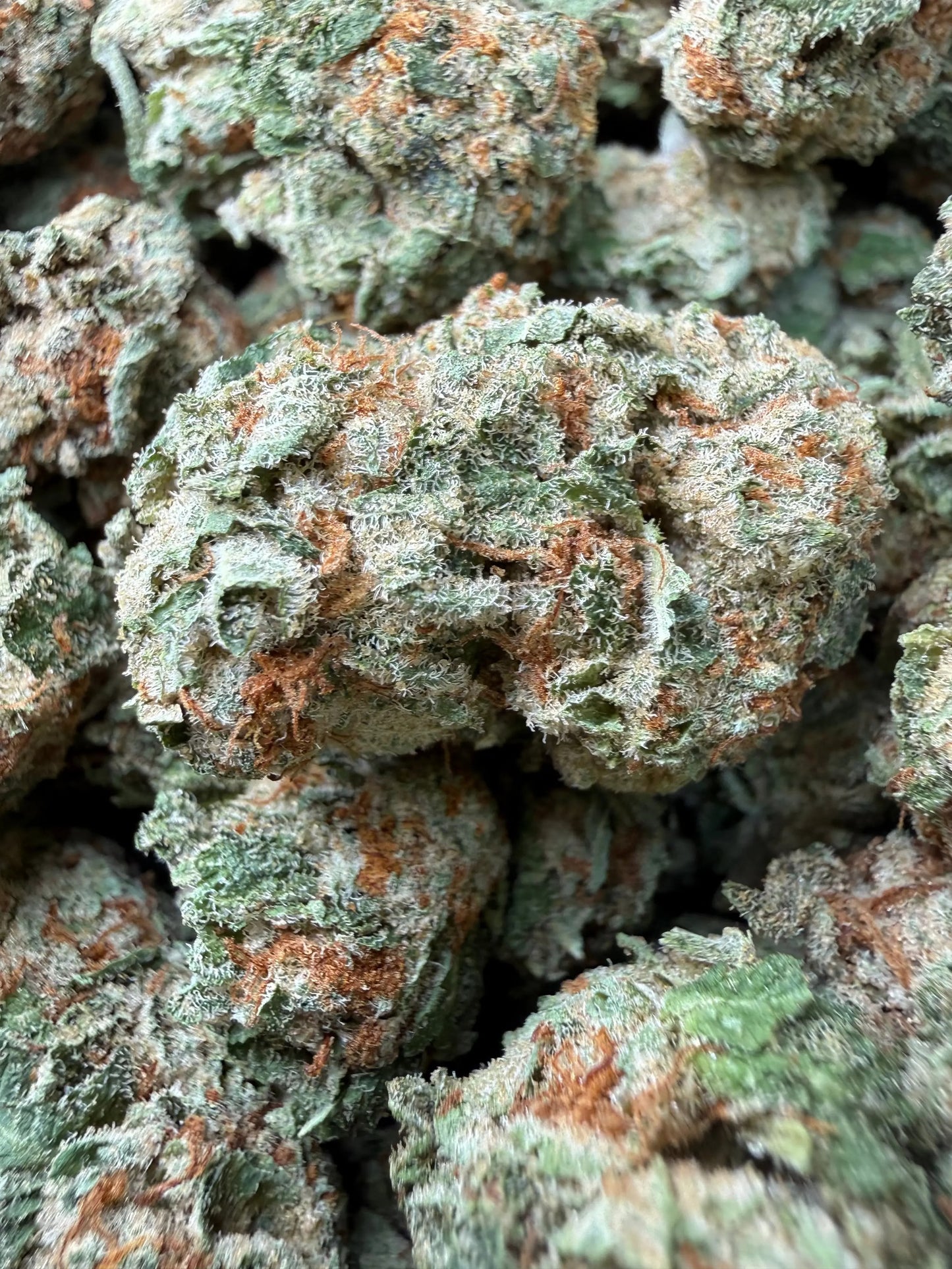 1 Pound - Pinnacle THCA Strain Frisco Labs