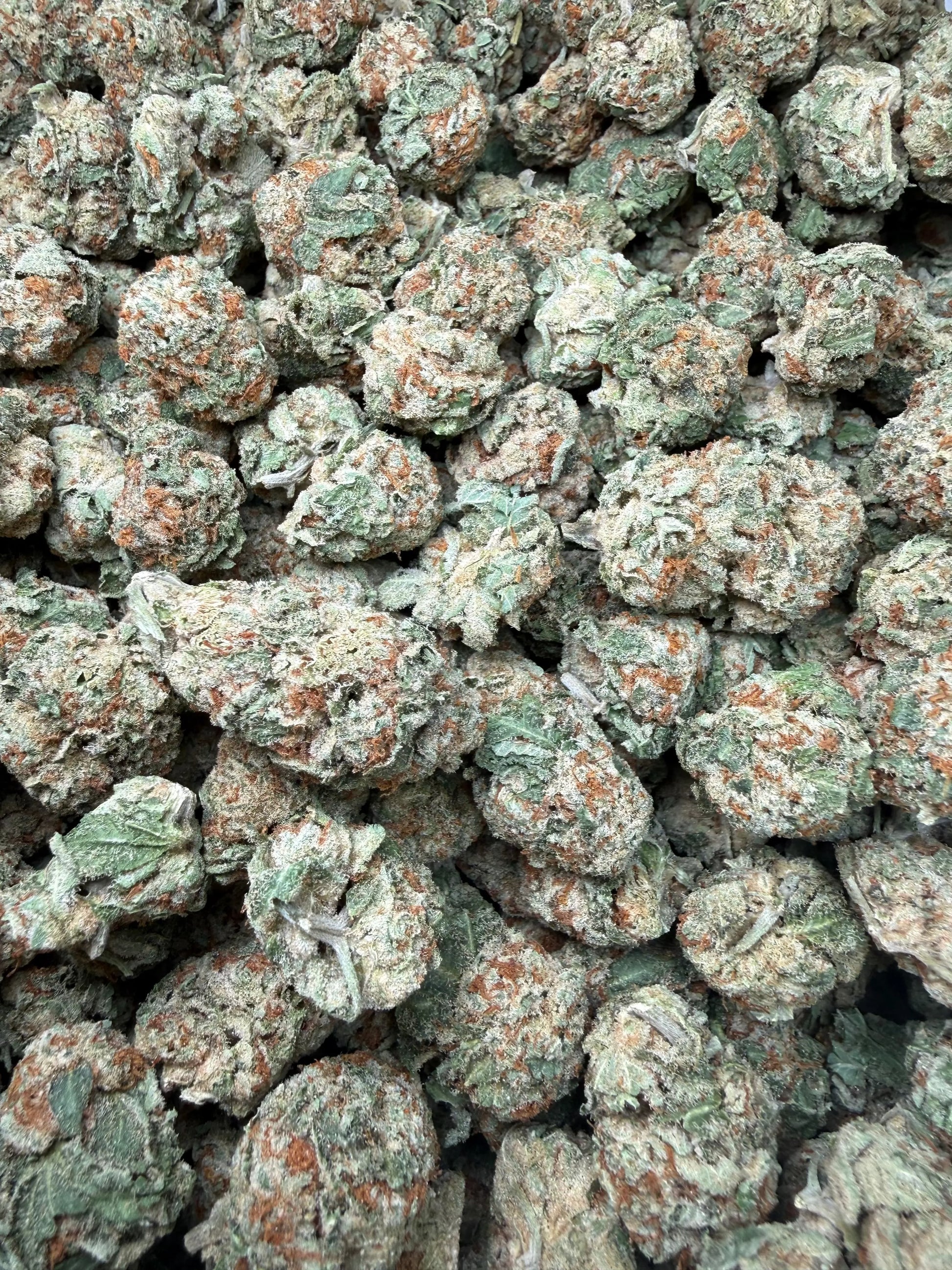 1 Pound - Pinnacle THCA Strain Frisco Labs