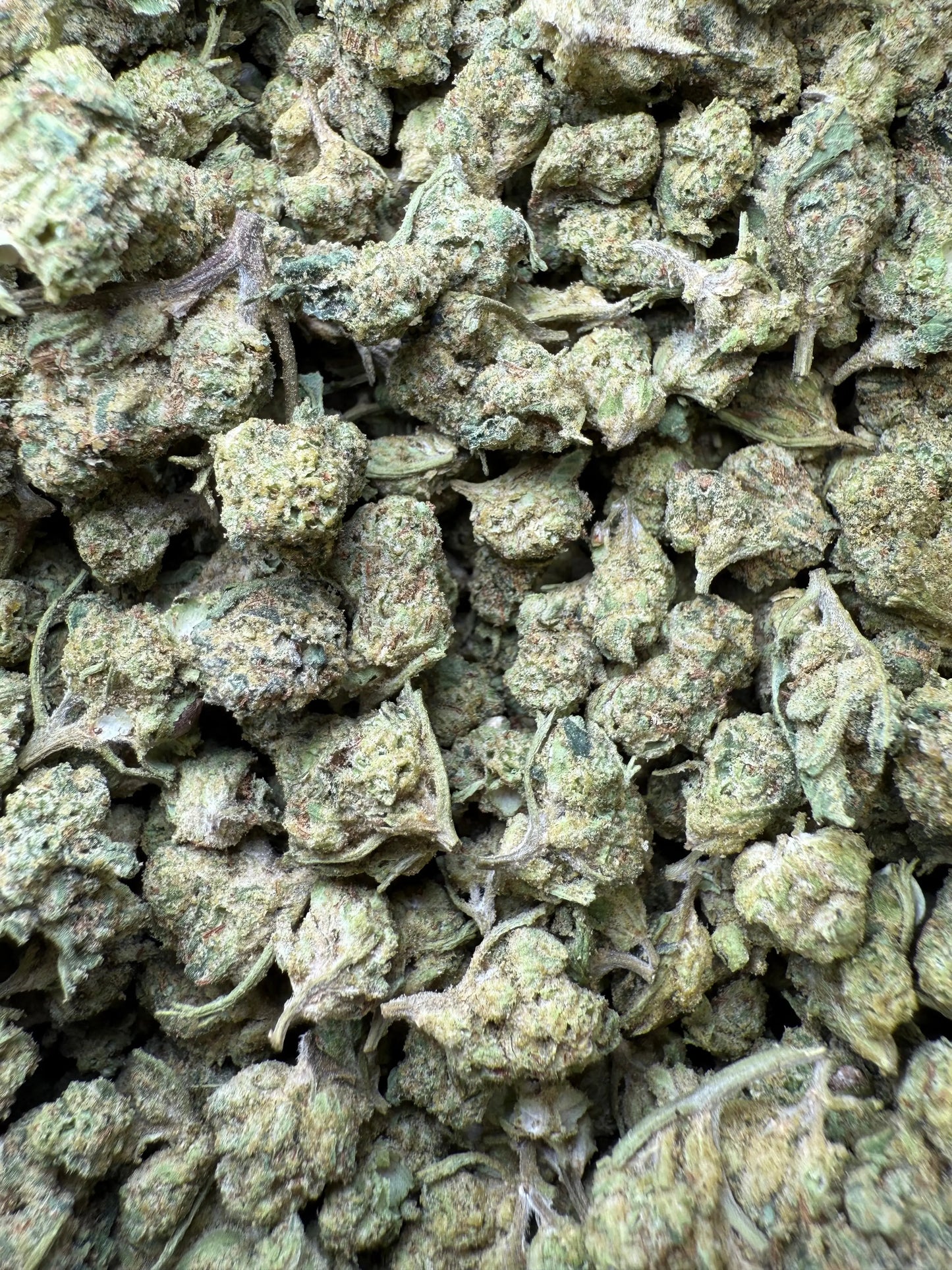 1 Pound - Pure Power Plant THCA Strain (Smalls) Frisco Labs