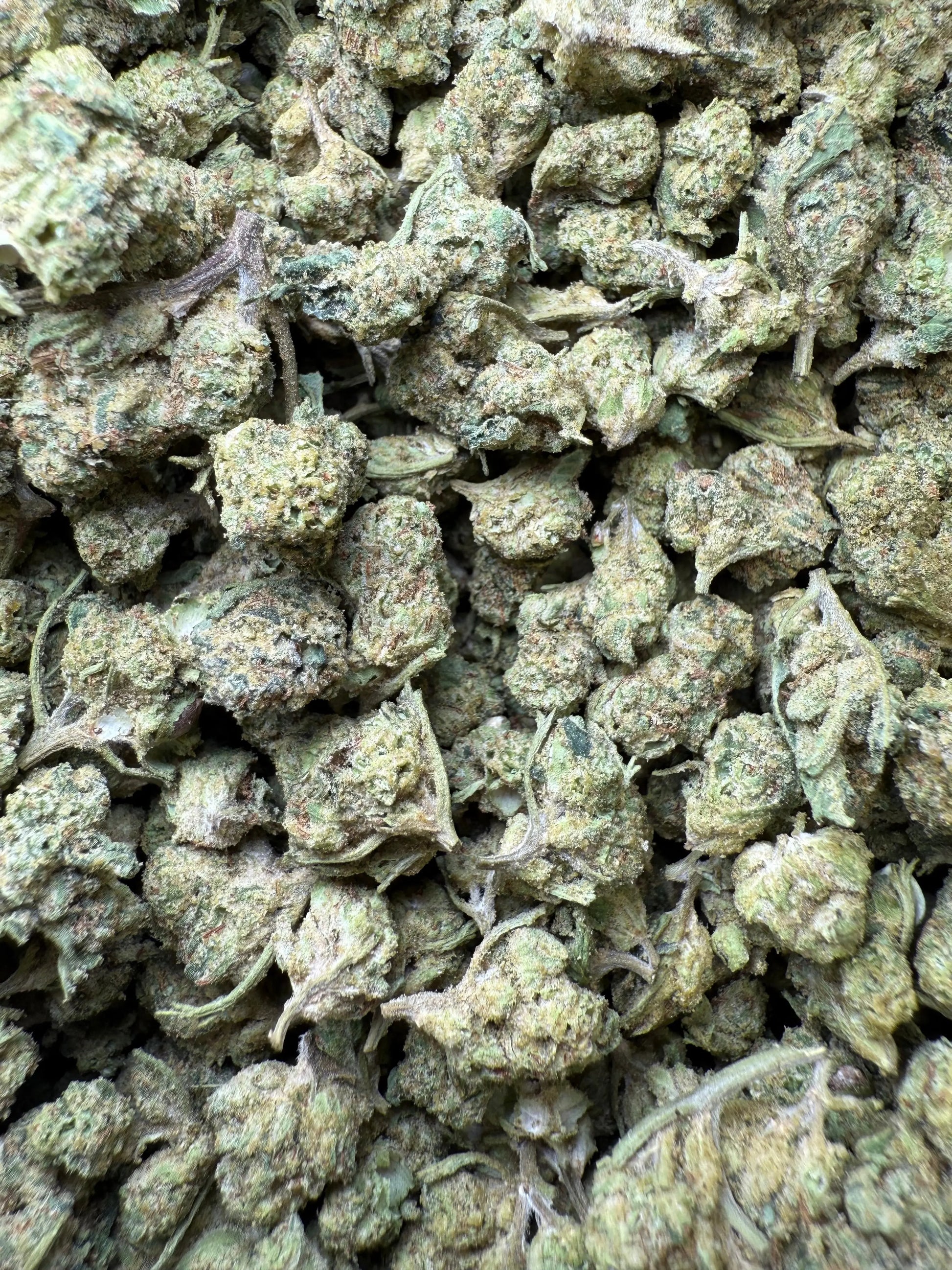 1 Pound - Pure Power Plant THCA Strain (Smalls) Frisco Labs